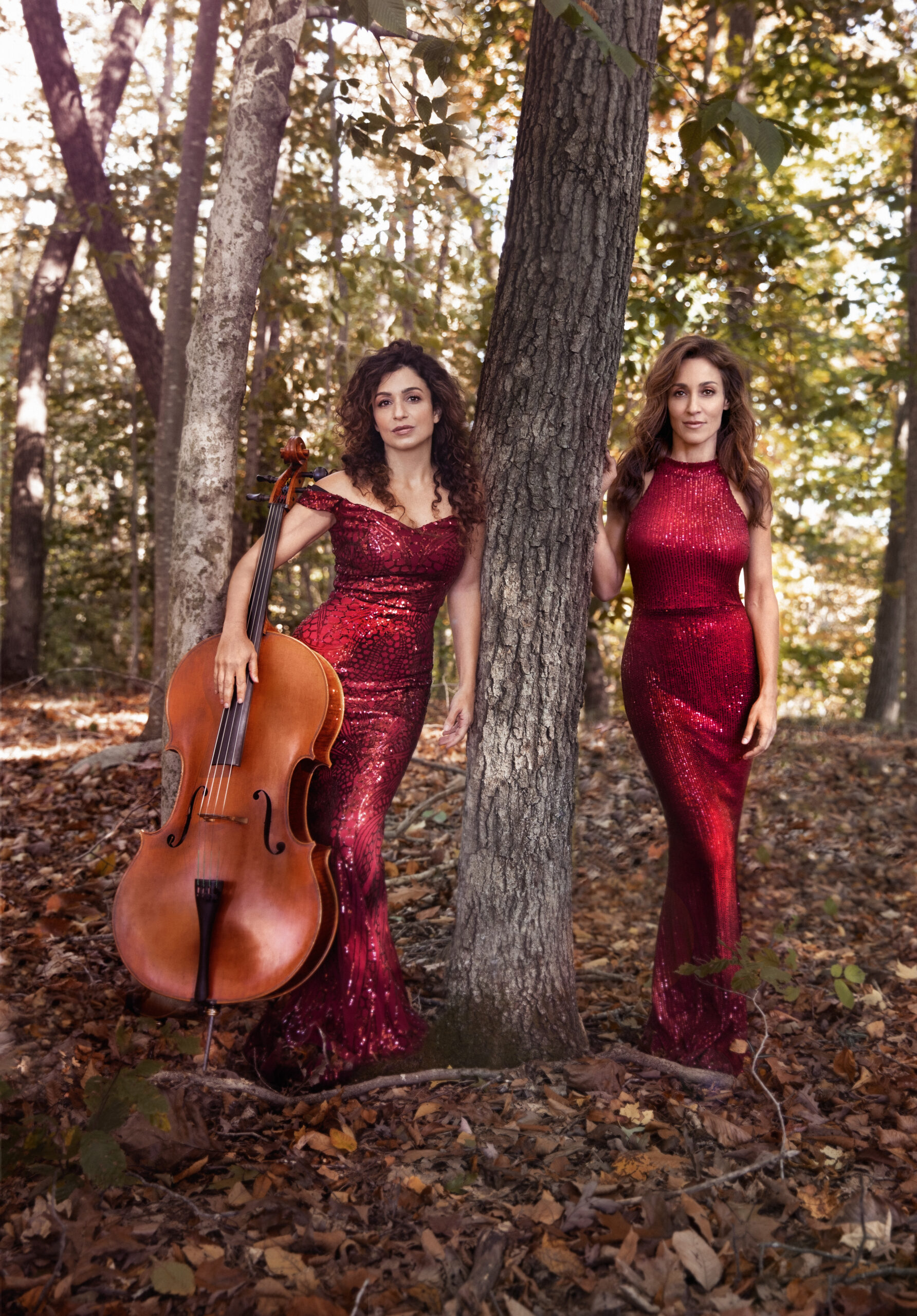 The Aznavoorian Duo Image 1