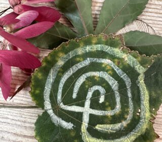 Labyrinth form painted with white ink on a leaf. The leaf with the labyrinth is layered over a Japanese maple leaf and a red cluster of samara (helicopter seeds).